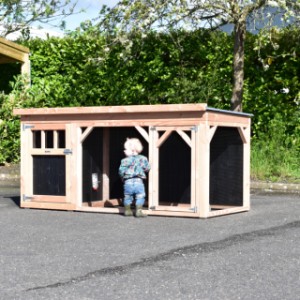 Rabbit hutch Belle 2 is an acquisition for your yard