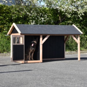 The hutch Isa offers a lot of space for your dog