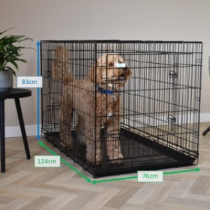 Various dimensions of the dog crate Strong XXL