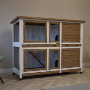 Rabbit hutch Annely is also suitable for indoor use