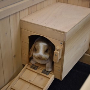 Rabbit hutch Anna is provided with a little sleeping compartment