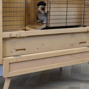 Guinea pig hutch Anna is a beautiful hutch for indoor use