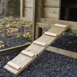 Chicken coop Eggy - Handy ramp! Easy access for your chickens.