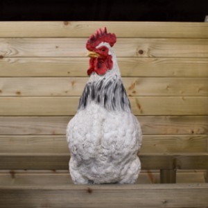 Chicken coop Eggy with 2 nesting boxes - Every evening a cozy spot for your chickens to rest and dream.