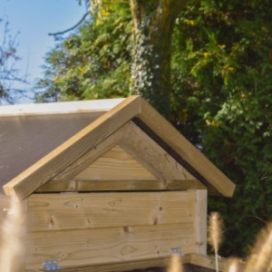 Chicken coop Eggy with nesting box - finished to perfection.