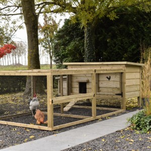 Chicken coop Eggy with run and nesting box - For active chickens! The run provides plenty of space and is easy to keep clean.