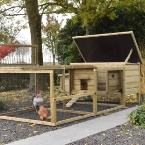 Chicken coop Eggy with run and nesting box - Always tidy! The hinged roof allows you to maintain the run and coop effortlessly.