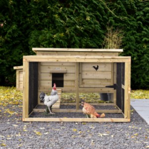 Chicken coop Eggy with run and nesting box - Comfort for your chickens! Spacious run for scratching fun and relaxation.