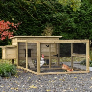 Chicken coop Eggy with run and nesting box - Impregnated spruce wood