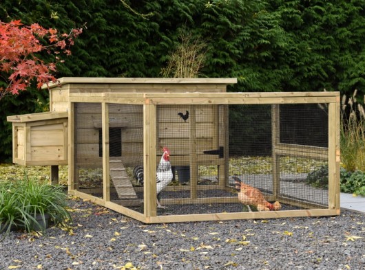 Chicken coop Eggy with run and nesting box - Impregnated spruce wood