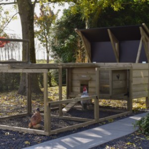 Chicken coop Eggy with run - Always tidy! The hinged roof allows you to maintain the run and coop effortlessly.