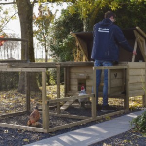 Chicken coop Eggy with run - Simple and quick, the entire coop opens up for a thorough cleaning.