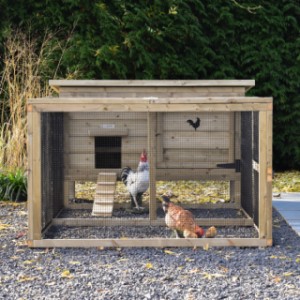 Chicken coop Eggy with run - Comfort for your chickens! Spacious run for scratching fun and relaxation.