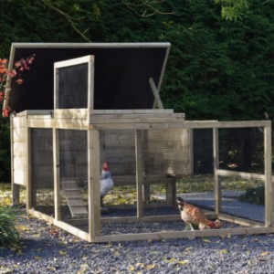 Chicken coop Eggy with run - A chicken run full of possibilities! Perfect for turning soil and keeping clean.