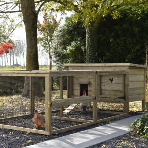 Chicken coop Eggy with run - For active chickens! The run provides plenty of space and is easy to keep clean.