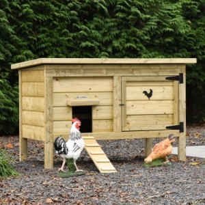 Chickens in style! Chicken coop Eggy offers comfort and convenience in one.