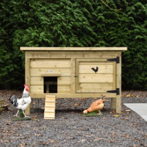 Practical and stylish! Chicken coop Eggy pays attention to detail.