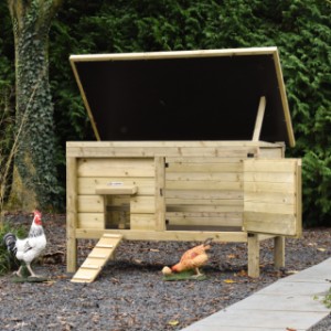 Chicken coop Eggy - The practical hinged roof and door make the coop easy to clean.