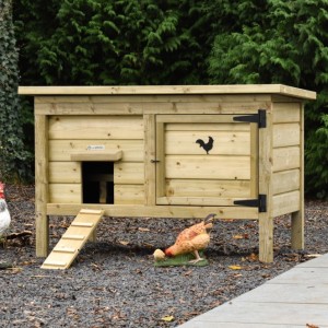 Chicken coop Eggy - Impregnated spruce wood