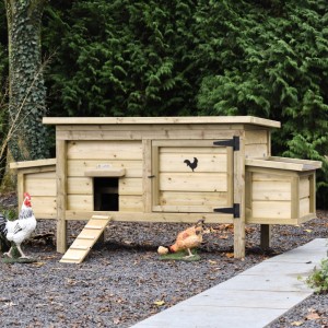 Chicken coop Eggy with 2 nesting boxes - Impregnated spruce wood