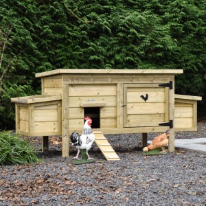 Practical and stylish! Chicken coop Eggy with 2 nesting boxes pays attention to detail.