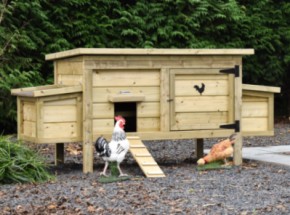 Practical and stylish! Chicken coop Eggy with 2 nesting boxes pays attention to detail.