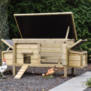 Chicken coop Eggy with 2 nesting boxes - The practical hinged roof and door make the coop easy to clean.