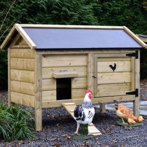 Chickens in style! Chicken coop Eggy offers comfort and convenience in one.