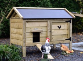 Chickens in style! Chicken coop Eggy offers comfort and convenience in one.