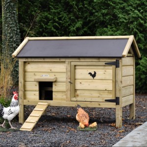 Chicken coop Eggy - Impregnated spruce wood