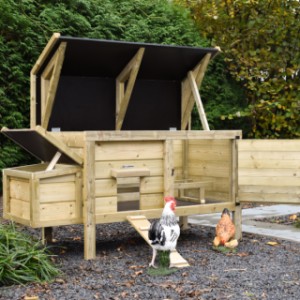 Chickens in style! Chicken coop Eggy with nesting box offers comfort and convenience in one.