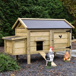 Chicken coop Eggy with nesting box - Impregnated spruce wood