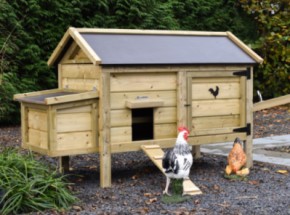 Chicken coop Eggy with nesting box - Impregnated spruce wood