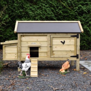 Practical and stylish! Chicken coop Eggy with nesting box pays attention to detail.