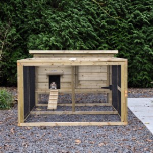 Rabbit hutch Eggy with run - Stylish and functional! An eye-catcher for your garden and comfort for your rabbits.