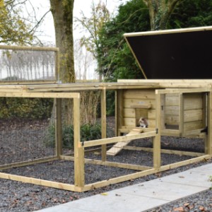 Rabbit hutch Eggy with run - Easy to clean! The hinged roof ensures simple maintenance.