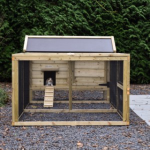 Rabbit hutch Eggy with run - Stylish and functional! An eye-catcher for your garden and comfort for your rabbits.