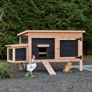 Chicken coop Eggy - Douglas black