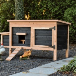 Chickens in style! Chicken coop Eggy offers comfort and convenience in one.