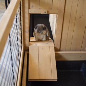 Rodent hutch Anna Double - Through the openings on the sides, the rabbit or guinea pig can easily move to the other hutch.