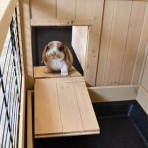 Rodent hutch Nina Double - Through the openings on the sides, the rabbit or guinea pig can easily move to the other hutch.