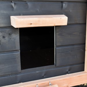 Chicken coop eggy - the exit hatch allows rabbits to easily go in and out.