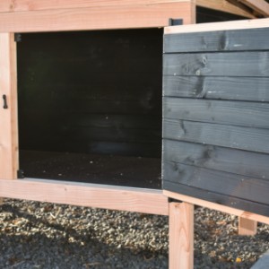 The handy door makes chicken coop Eggy easy to clean.