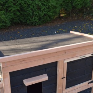 The flat roof of Chicken coop Eggy slopes down to the back so that water flows off the roof.