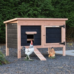 Chicken coop Eggy - Douglas black