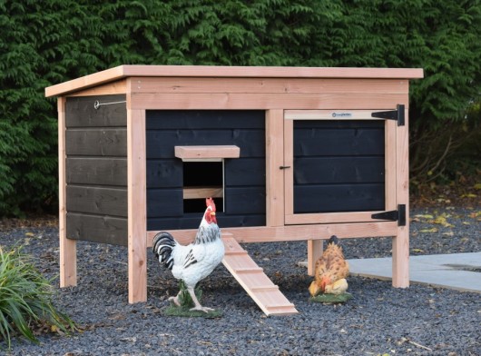 Chicken coop Eggy - Douglas black