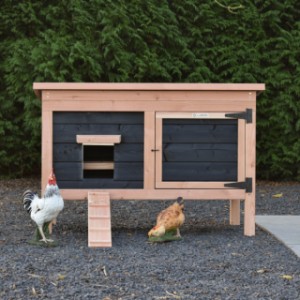 Practical and stylish! Chicken coop Eggy pays attention to detail.