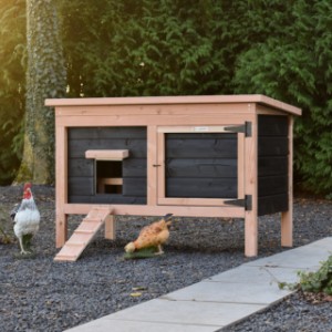 Chickens in style! Chicken coop Eggy offers comfort and convenience in one.