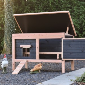 Chicken coop Eggy - The practical hinged roof and door make the coop easy to clean.