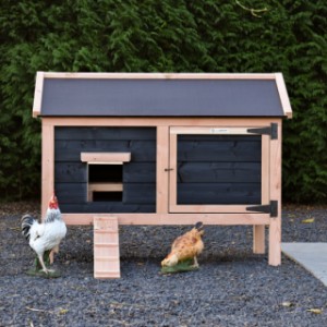 Practical and stylish! Chicken coop Eggy pays attention to detail.